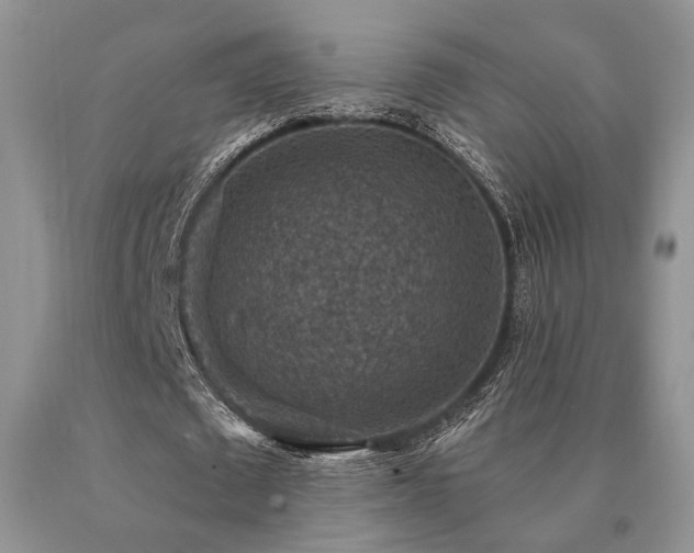 X0000091060673200708061242