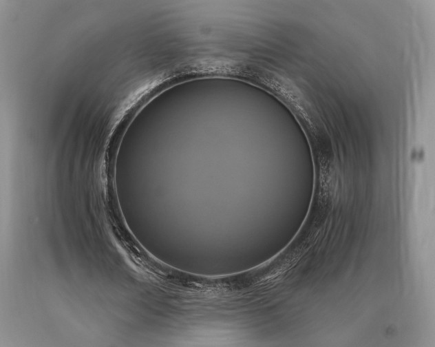 X0000091060674200708061242