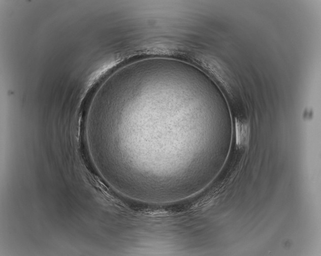 X0000091060675200708061242