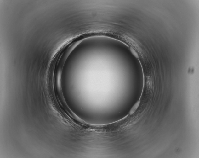 X0000091060676200708061242