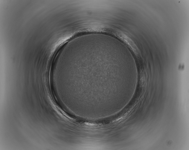 X0000091060677200708061242