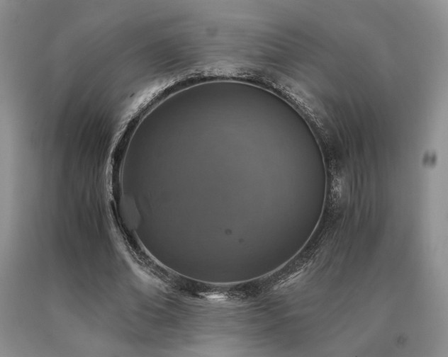 X0000091060678200708061242