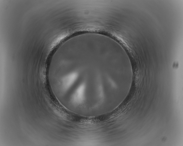 X0000091060679200708061242