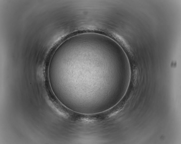 X0000091060680200708061242