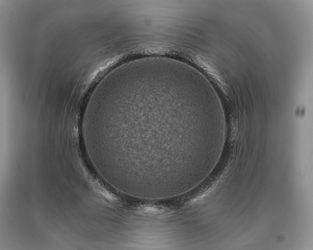 X0000091060681200708061242