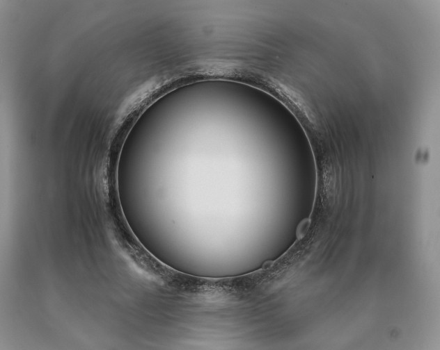 X0000091060682200708061242