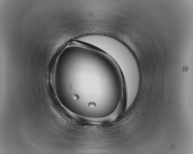 X0000091060683200708061242