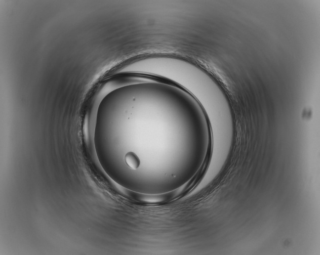 X0000091060684200708061242