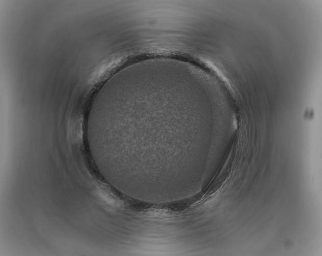 X0000091060685200708061242