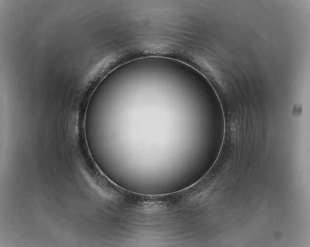 X0000091060686200708061242