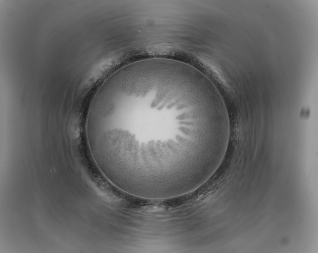 X0000091060687200708061242