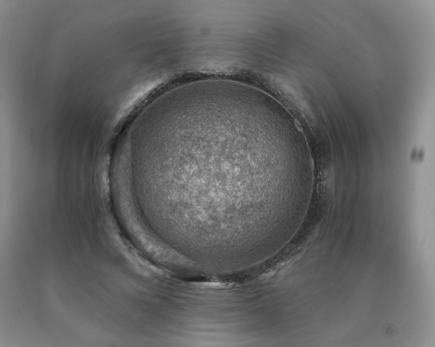 X0000091060688200708061242