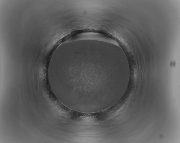 X0000091060689200708061242