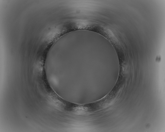 X0000091060691200708061242
