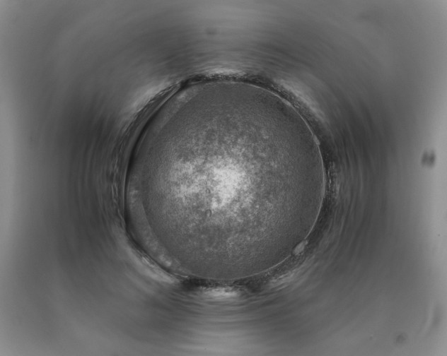 X0000091060692200708061242