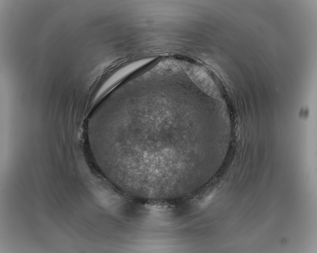 X0000091060693200708061242