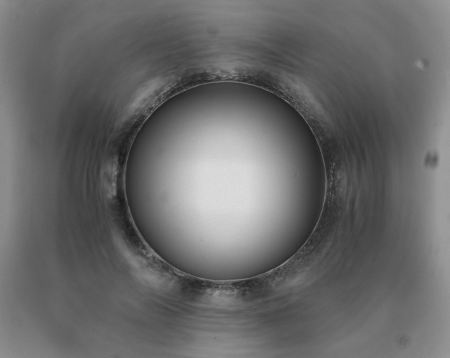 X0000091060694200708061242