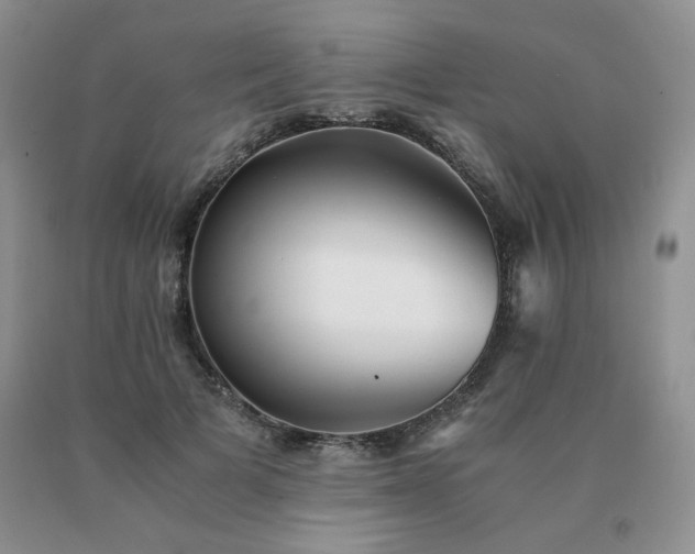 X0000091060697200708061242