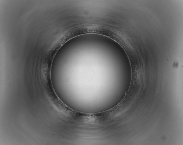 X0000091060698200708061242