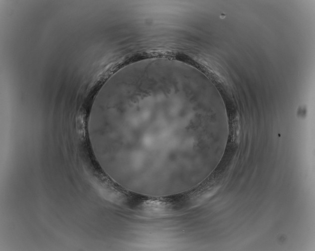 X0000091060699200708061242