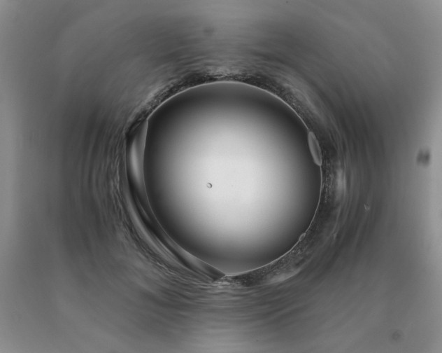 X0000091060700200708061242