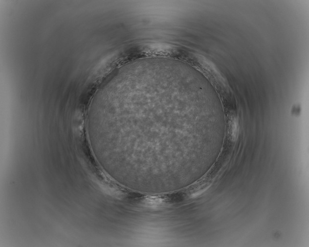 X0000091060701200708061242
