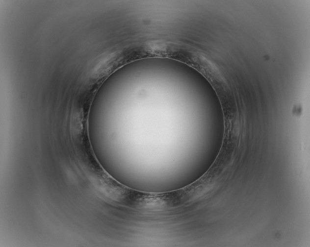 X0000091060702200708061242