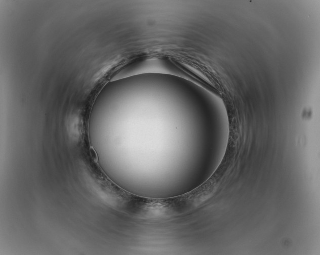 X0000091060704200708061242