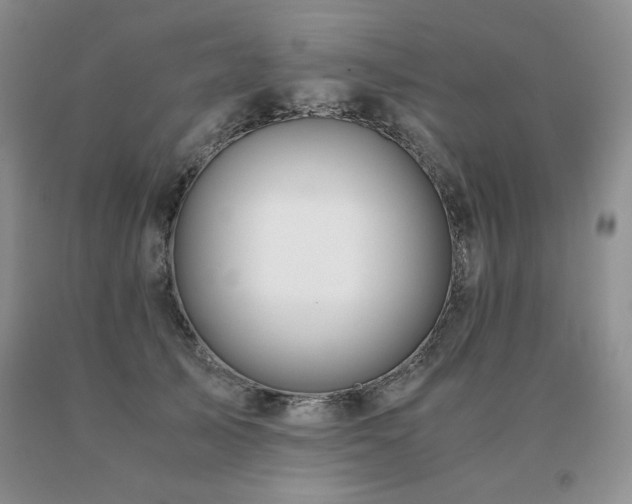 X0000091060705200708061242