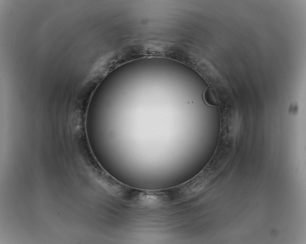 X0000091060706200708061242