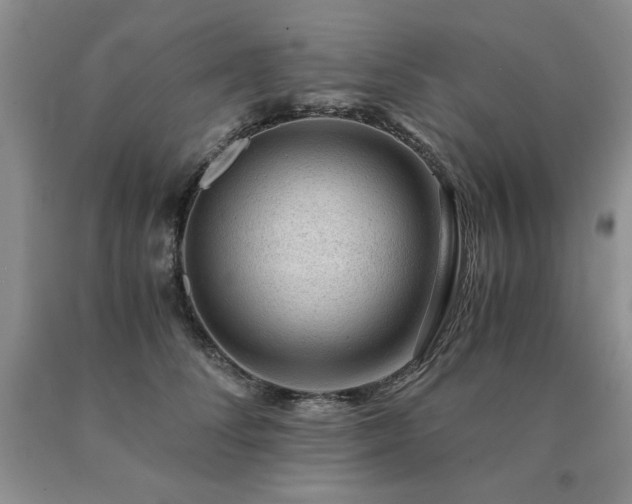 X0000091060708200708061242