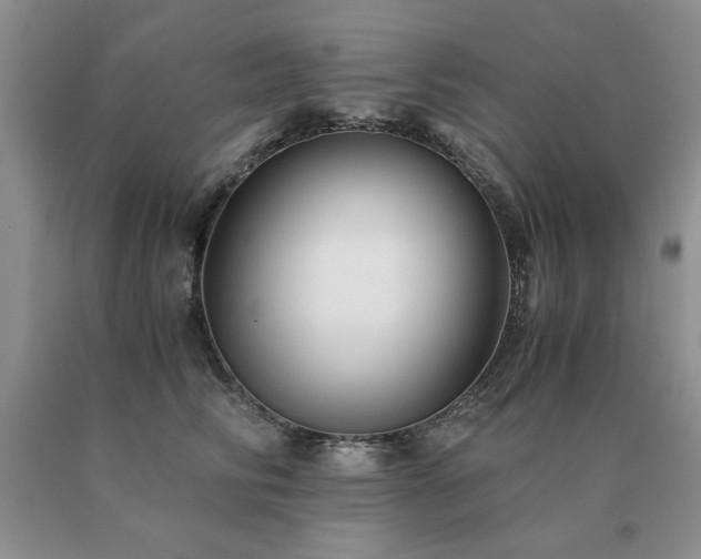 X0000091060710200708061242