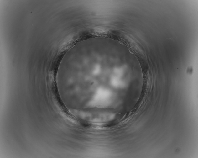 X0000091060711200708061242
