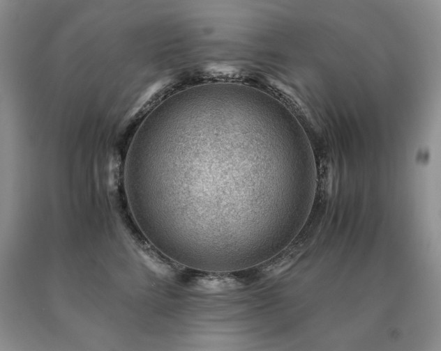 X0000091060712200708061242