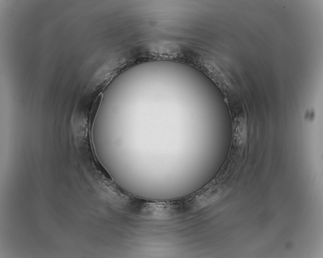X0000091060713200708061242