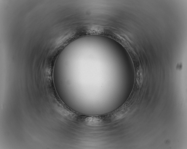 X0000091060714200708061242