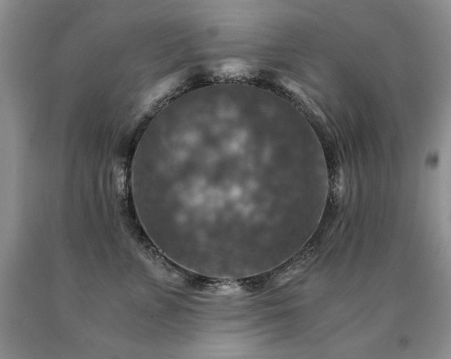 X0000091060715200708061242