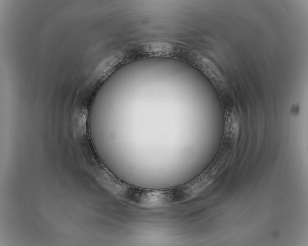 X0000091060717200708061242