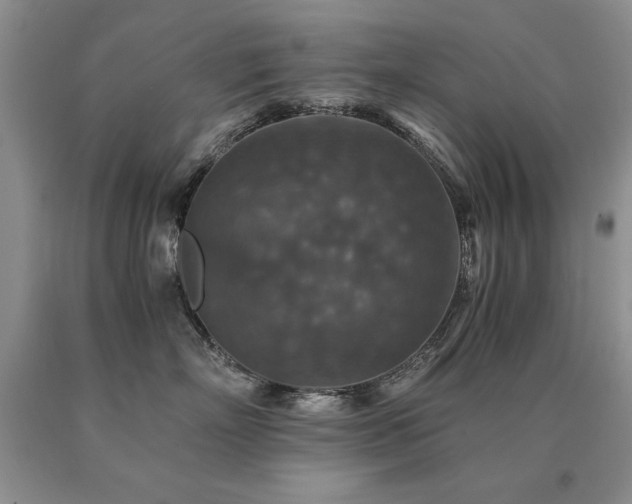X0000091060718200708061242