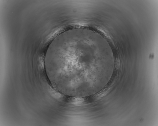 X0000091060719200708061242