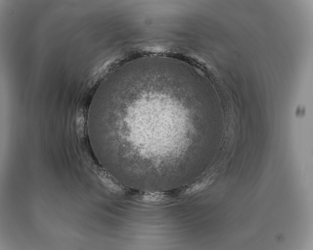 X0000091060720200708061242