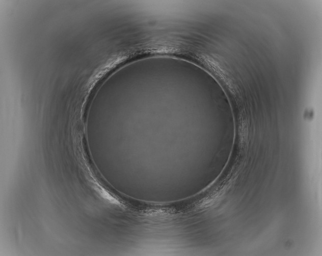 X0000091060721200708061241