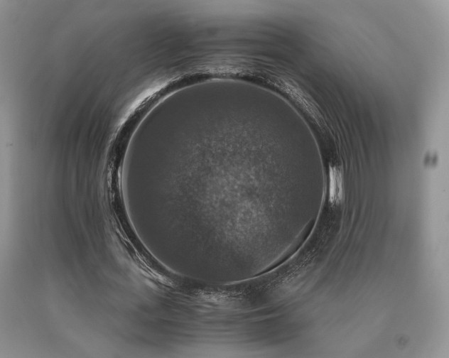 X0000091060723200708061241