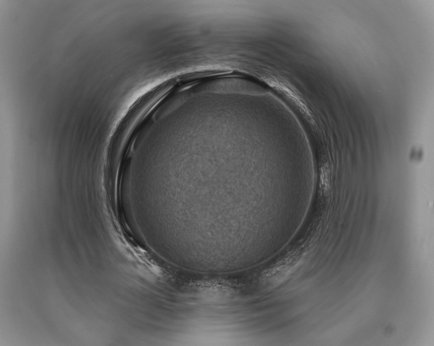 X0000091060724200708061241