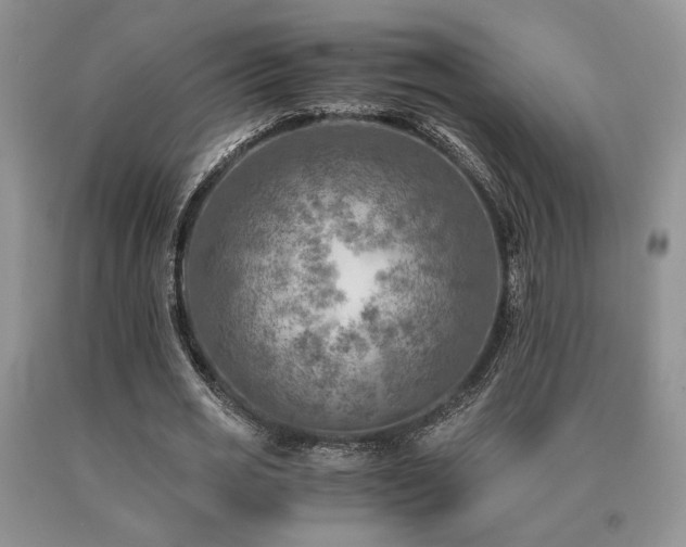 X0000091060725200708061241
