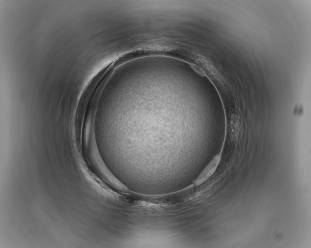 X0000091060726200708061241