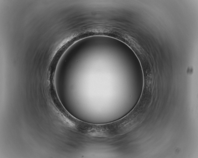 X0000091060727200708061241