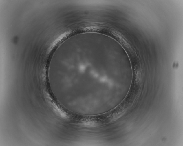 X0000091060729200708061241