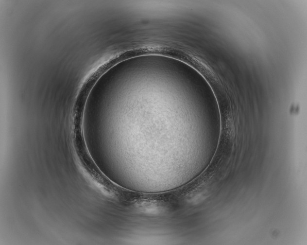 X0000091060730200708061241