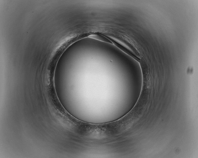 X0000091060731200708061241